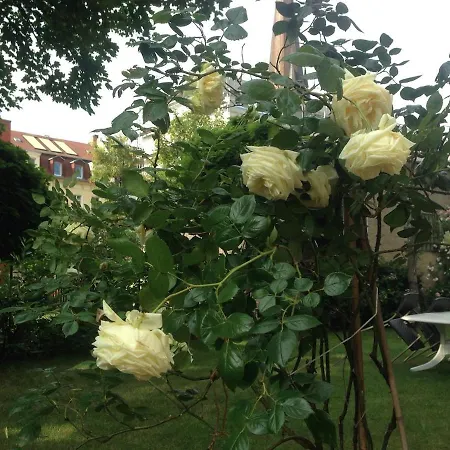 Villa, Wein Und Garten アパート ライプツィヒ
